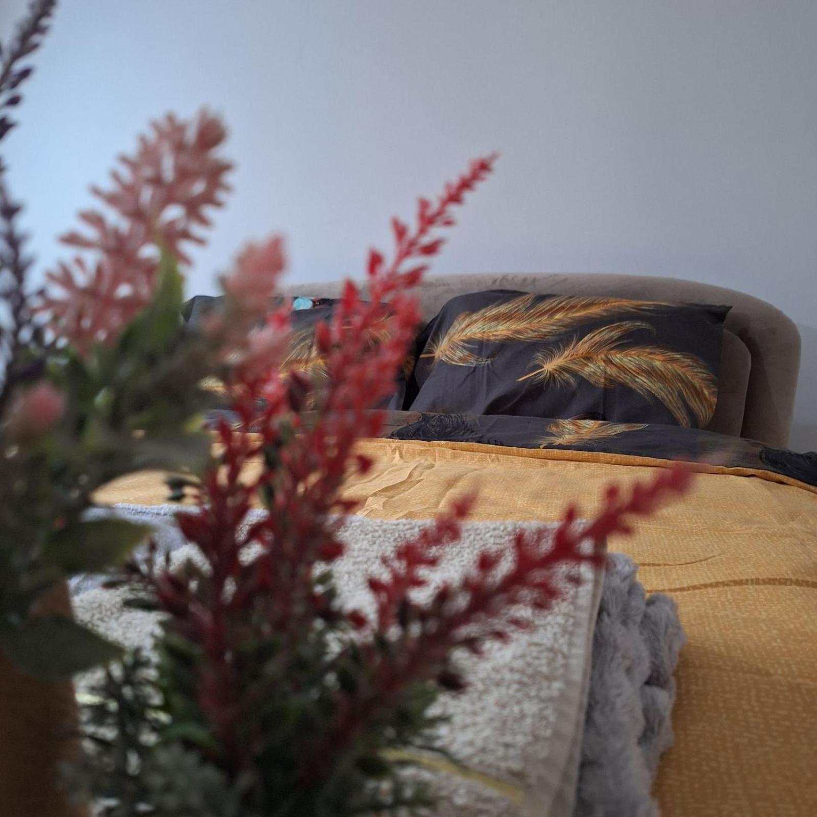 Apartment "Mira" ฟอชา ภายนอก รูปภาพ
